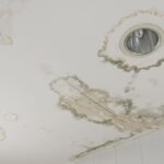 ¿Por qué gotea el extractor del baño? Causas, soluciones y cómo evitar que vuelva a ocurrir